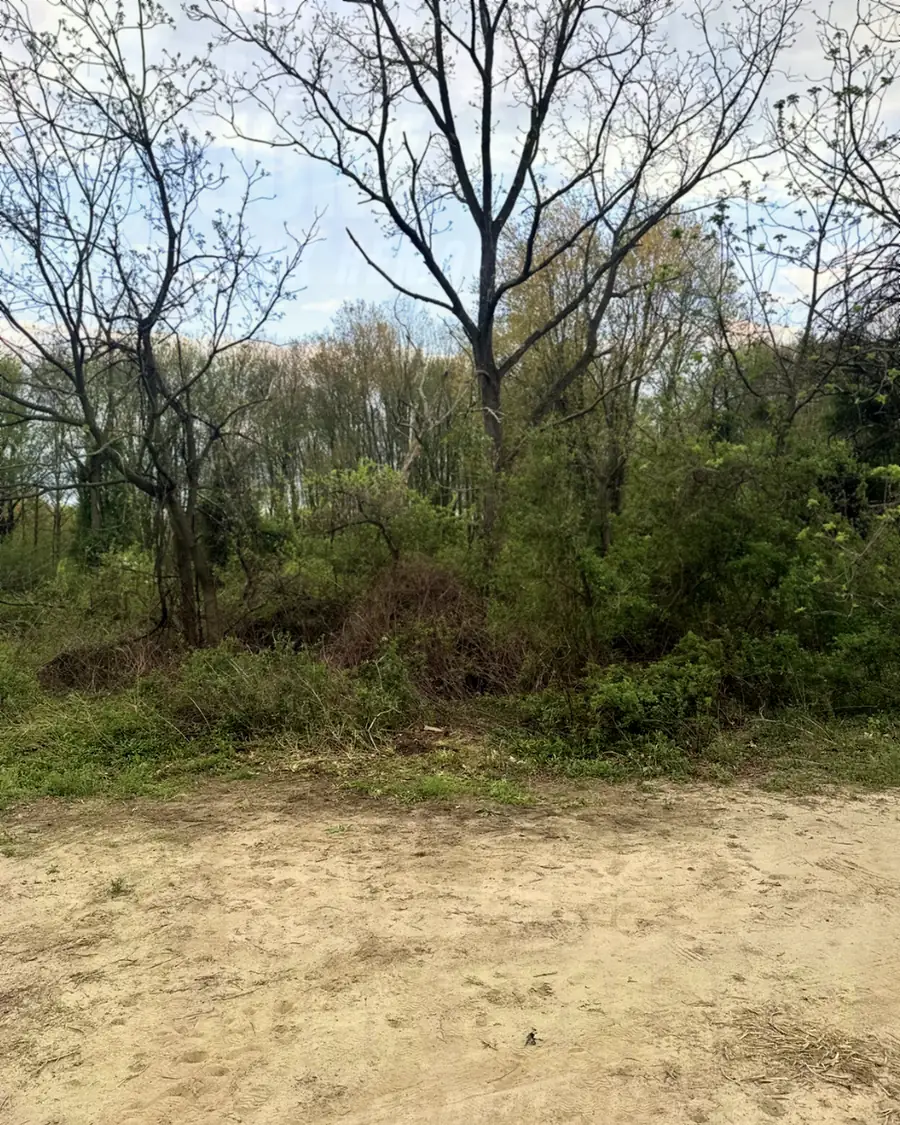 After: the same lot completely cleared