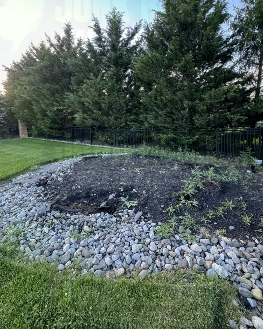 After: the same bed with the trampoline removed