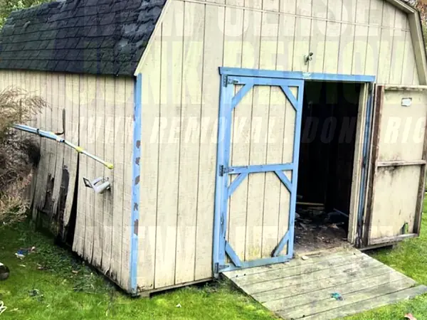An old tan gambrel-roof shed with blue trim and rotting siding before removal